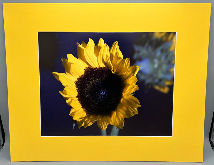 Forward Blue Matted Print