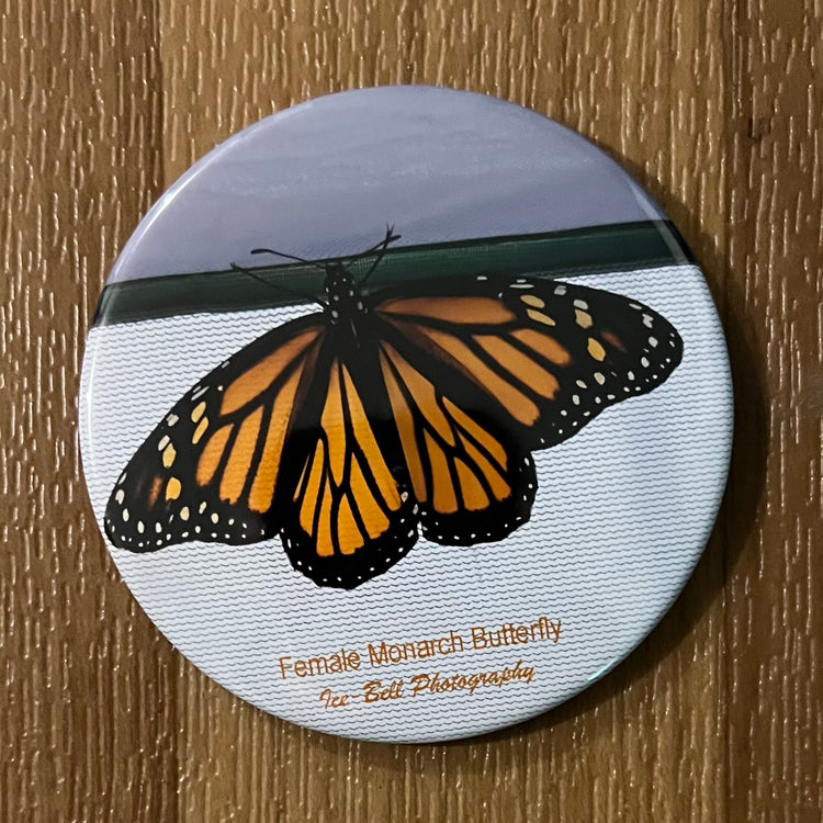 Magnet Female Monarch Butterfly