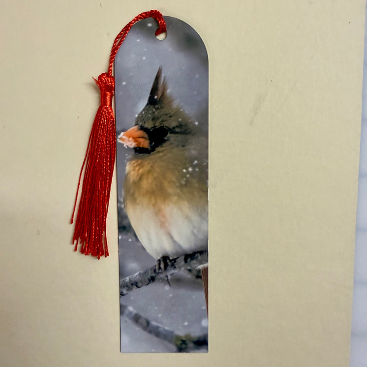 Female Cardinal Woodpecker Metal Bookmark
