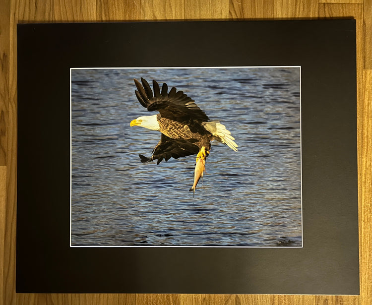 The Catch Matted Print