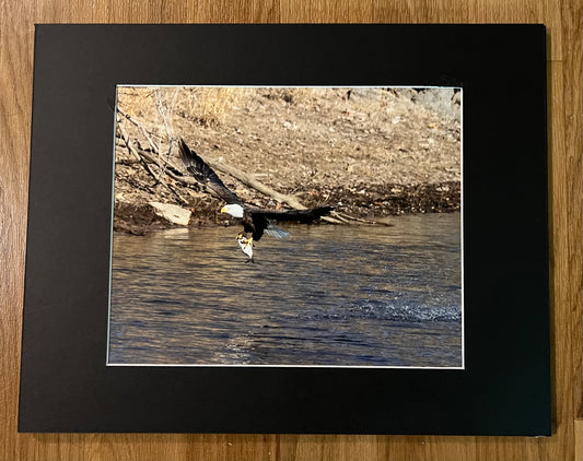 Fly Off Matted Print