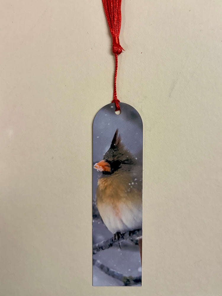 Female Cardinal Woodpecker Metal Bookmark