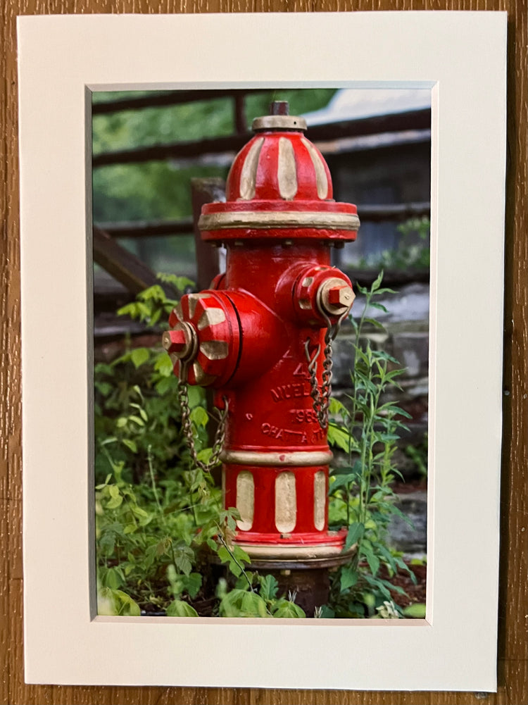 Red Gold Fire Hydrant Dogpatch USA Matted Print