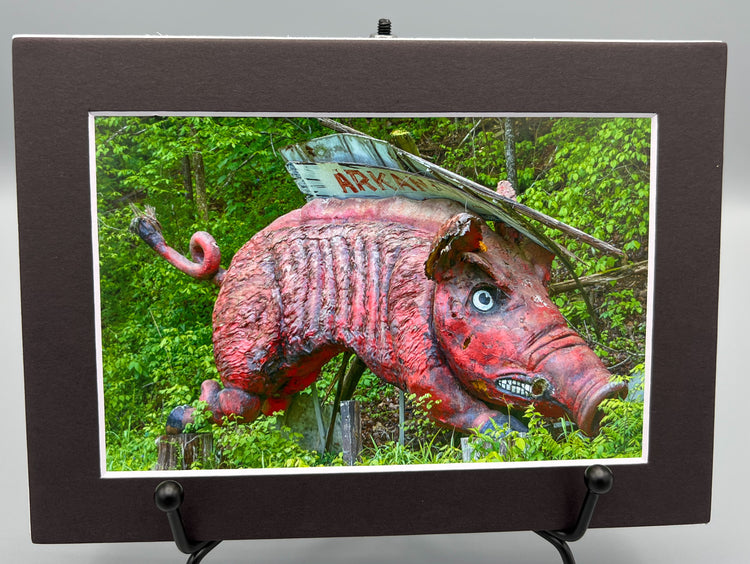 Razorback Dogpatch USA Matted Print