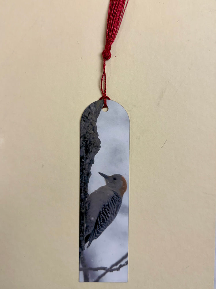 Red-Bellied Woodpecker Metal Bookmark