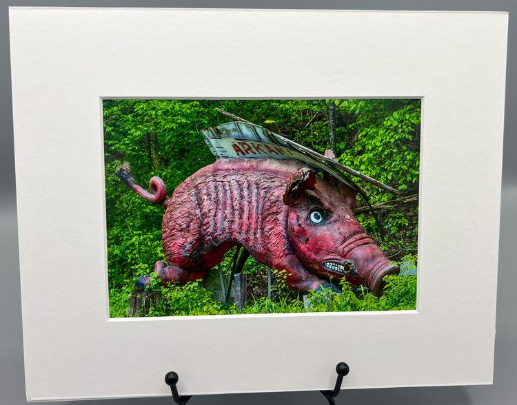 Razorback Dogpatch USA Matted Print