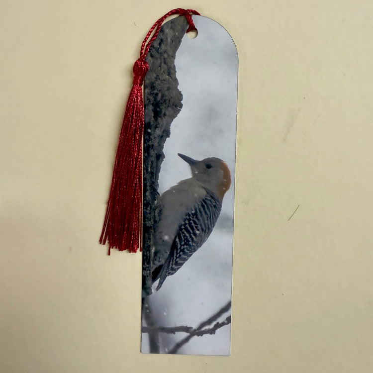 Red-Bellied Woodpecker Metal Bookmark