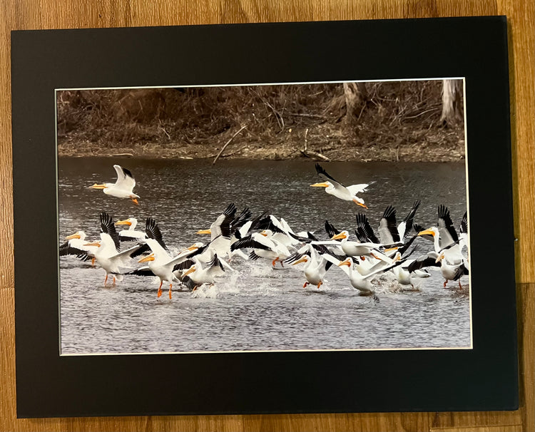 The Scatter Matted Print