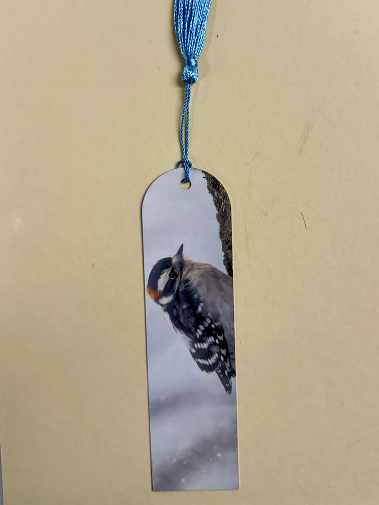 Downey Woodpecker Metal Bookmark