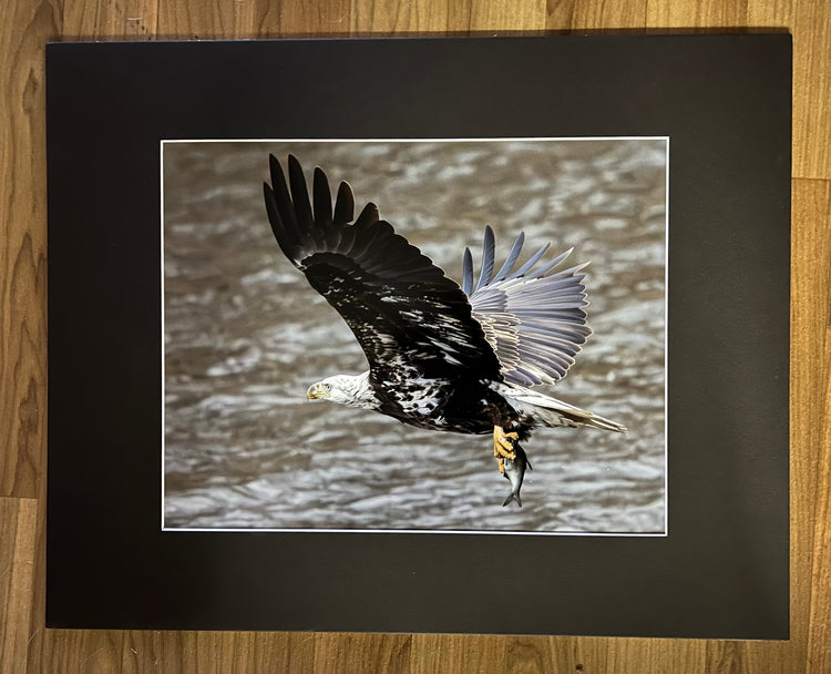 Fresh Catch Matted Print