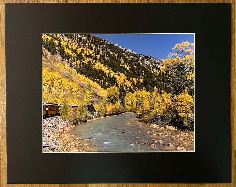 Yellow and Green Matted Print