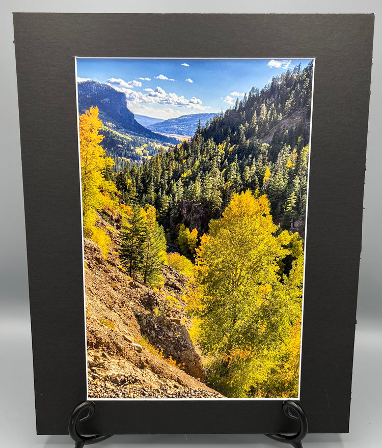 A Long View Matted Print