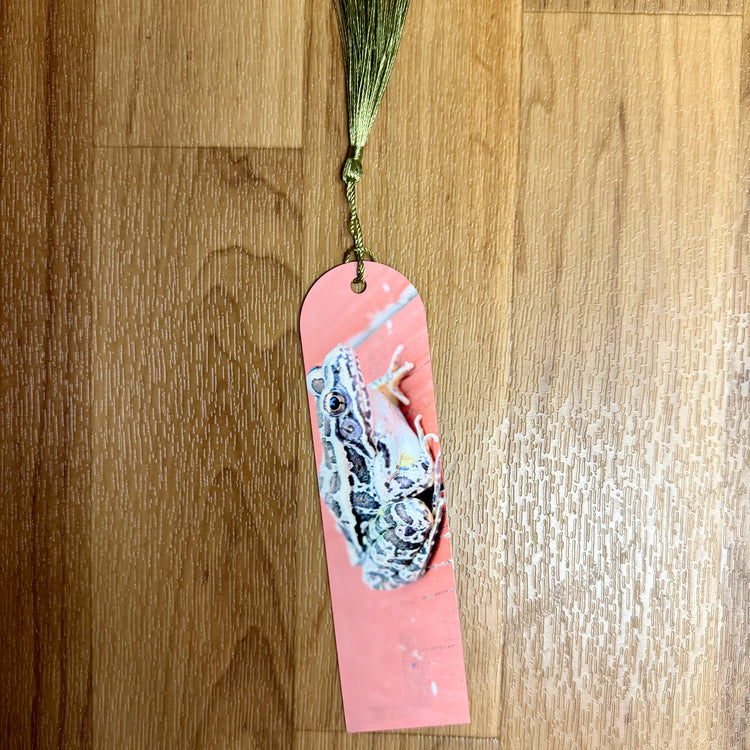 Pickerel Frog Metal Bookmark
