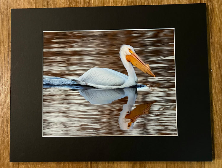 Single Reflection Matted Print