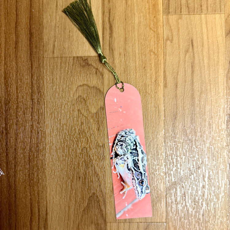 Pickerel Frog Metal Bookmark