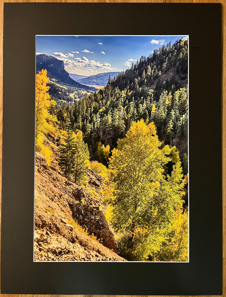 A Long View Matted Print