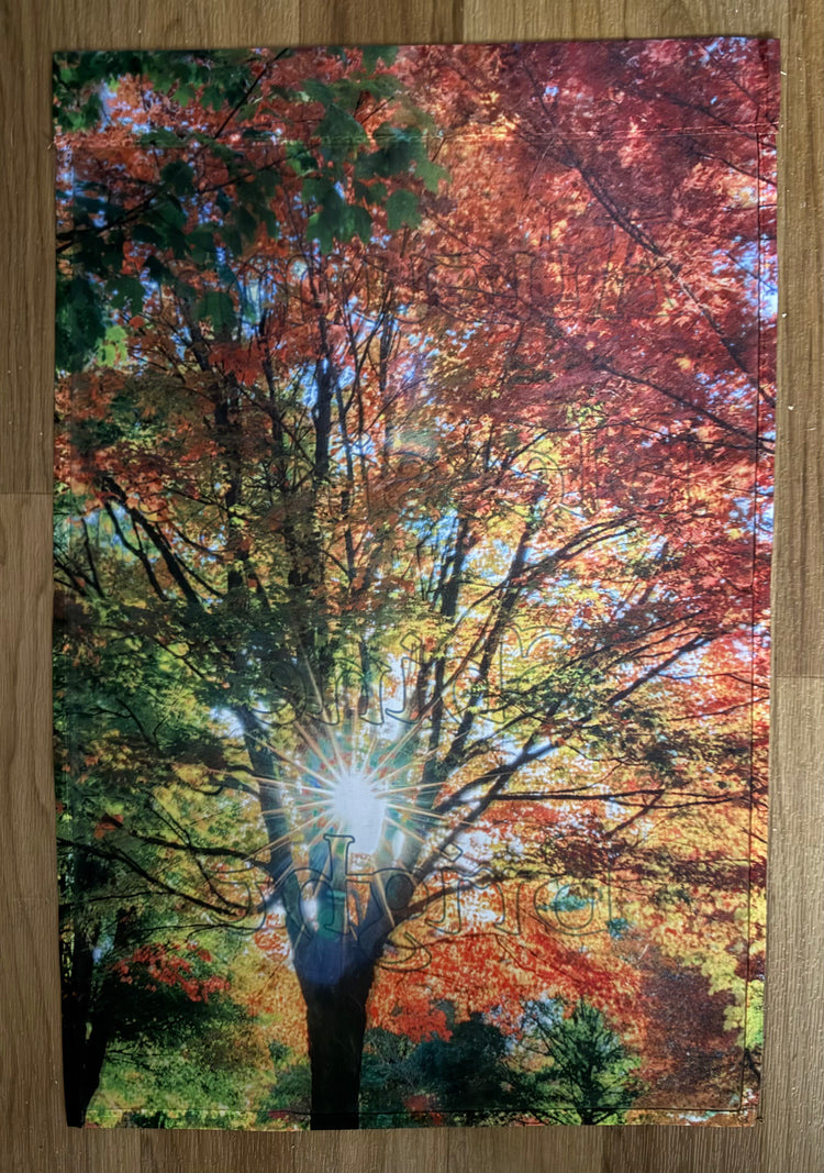 Autumn Blessings Shine Bright Garden Flag