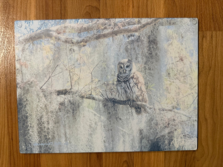 Glass Cutting Board - Barred Owl with Spanish Moss
