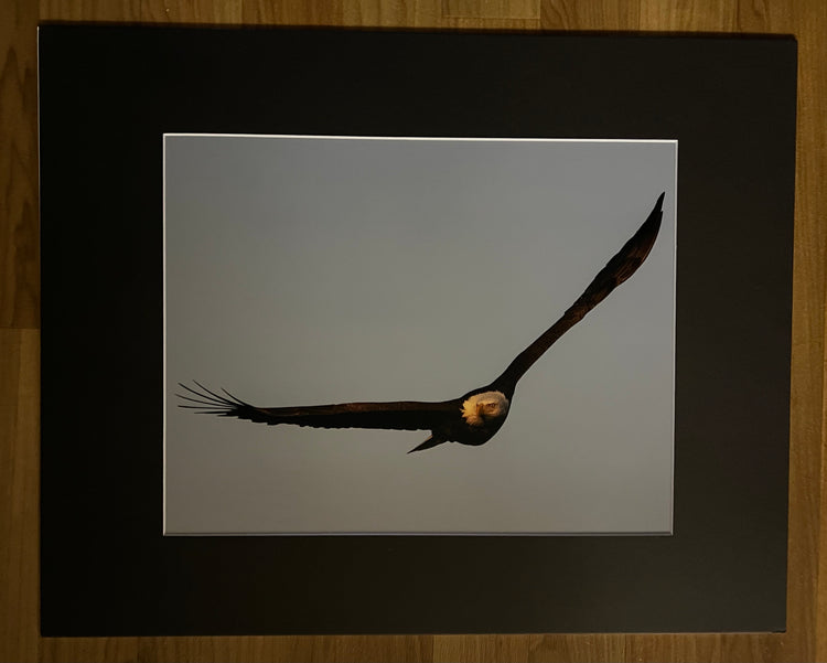 The Glance Matted Print