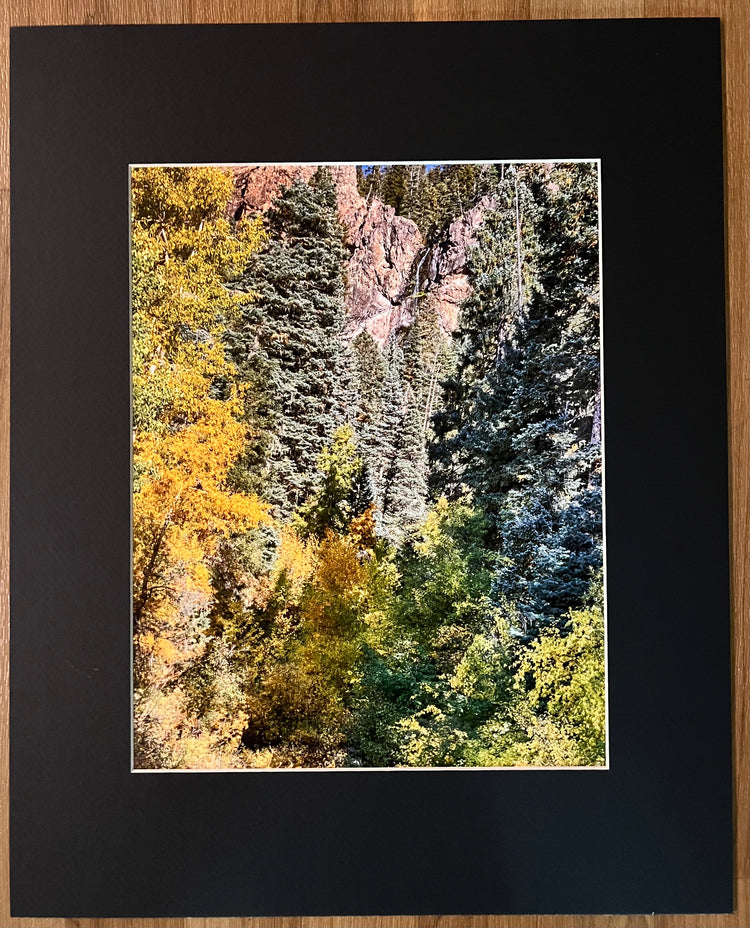 Fall at Treasure Falls Matted Print