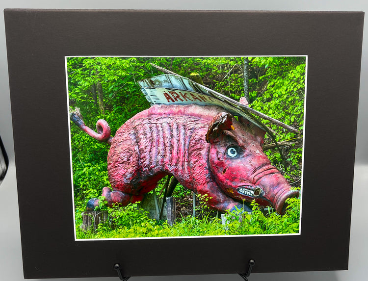 Razorback Dogpatch USA Matted Print