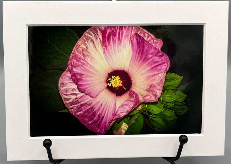 Hidden Colors Matted Print