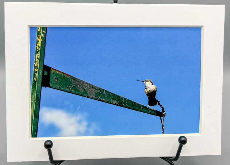 I See You Matted Print