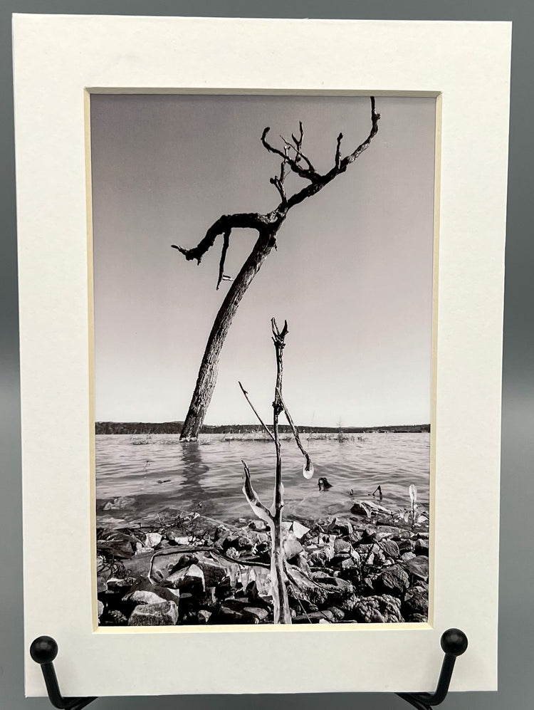 Lonely Perch Matted Print