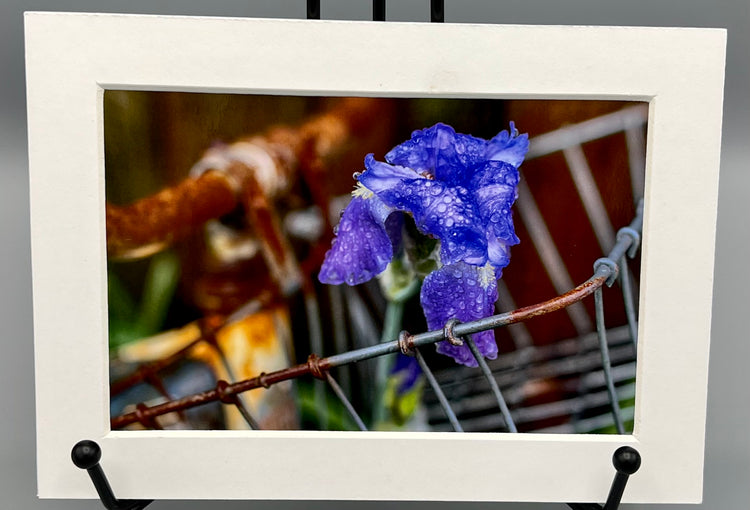 Purple Rain Dark Dogpatch USA Matted Print
