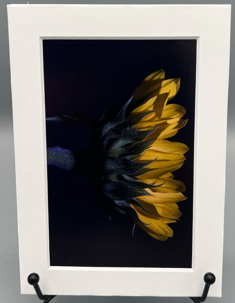 Side Blue Matted Print