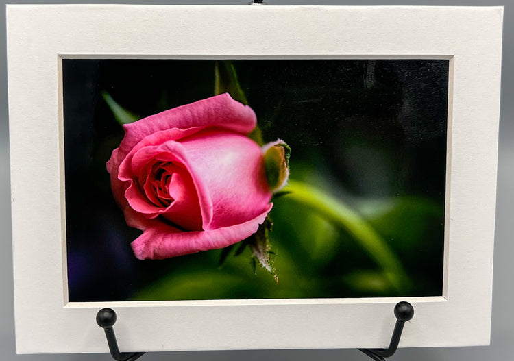 The Opening Matted Print