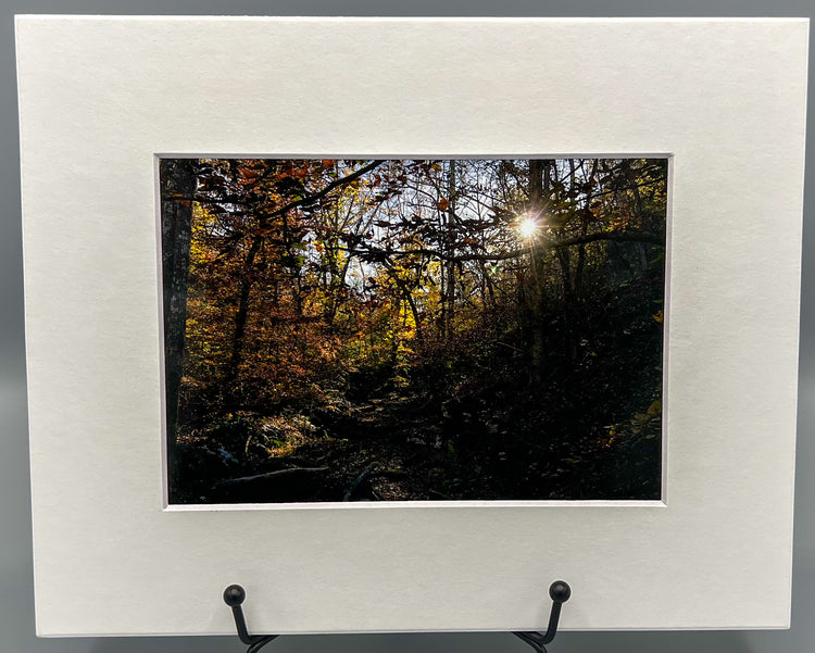 Lighting it Up Matted Print