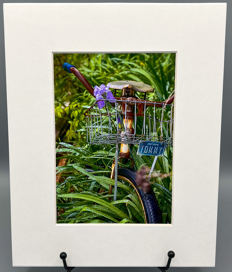 Tommy's Last Ride Dogpatch USA Matted Print