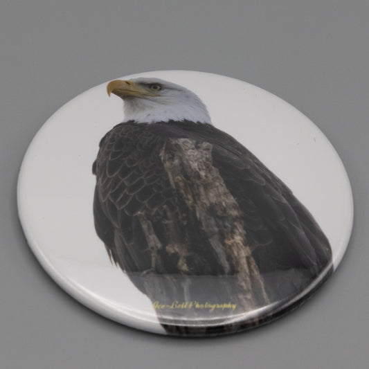 Magnet Bald Eagle