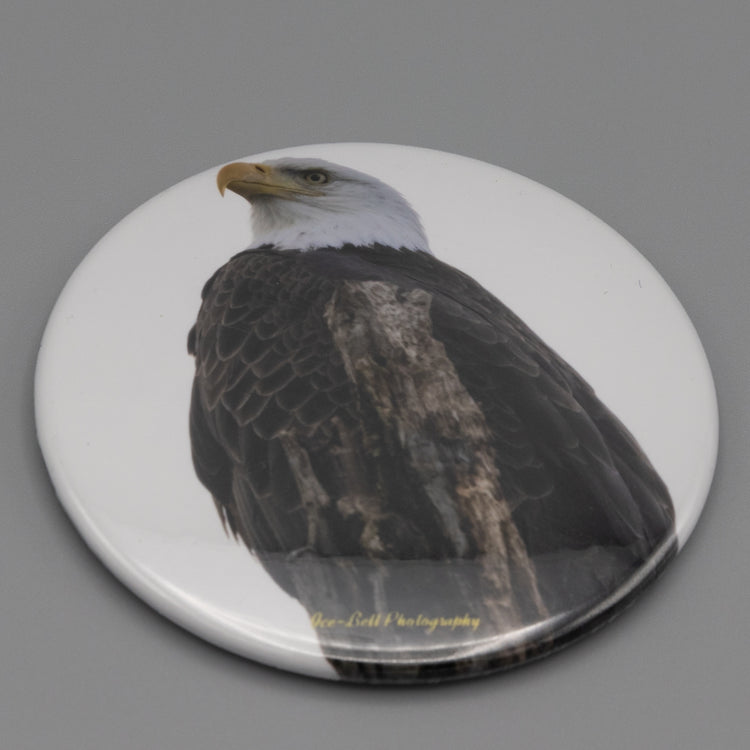 Magnet Bald Eagle