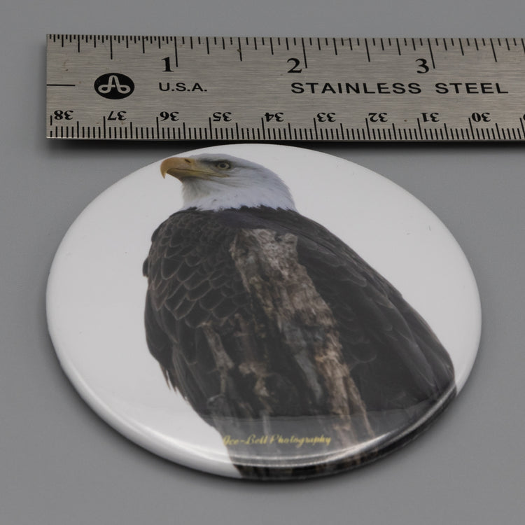 Magnet Bald Eagle