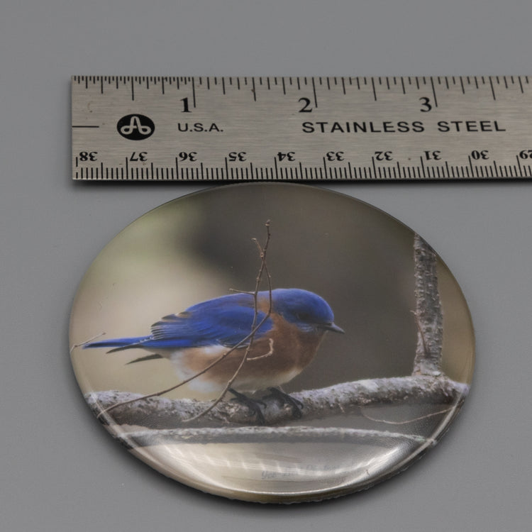 Magnet Blue Bird