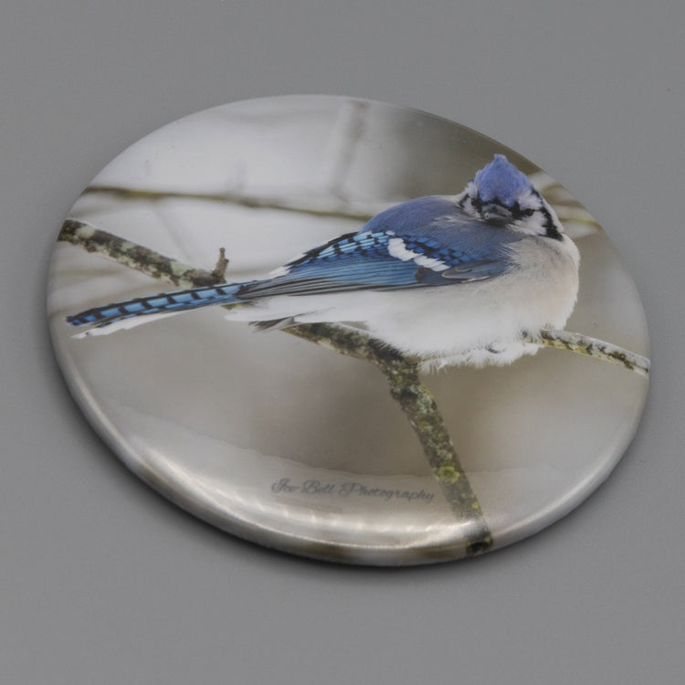 Magnet Blue Jay