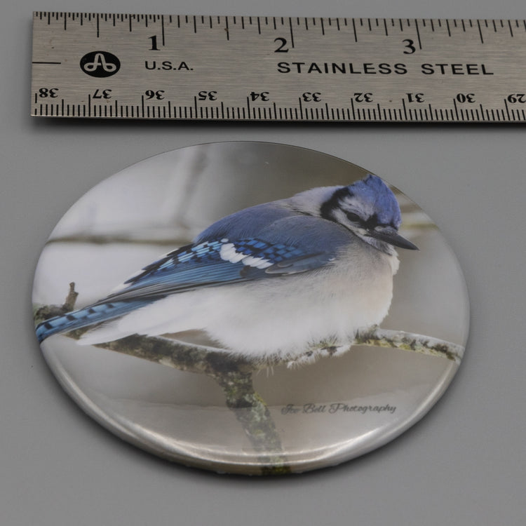Magnet Blue Jay
