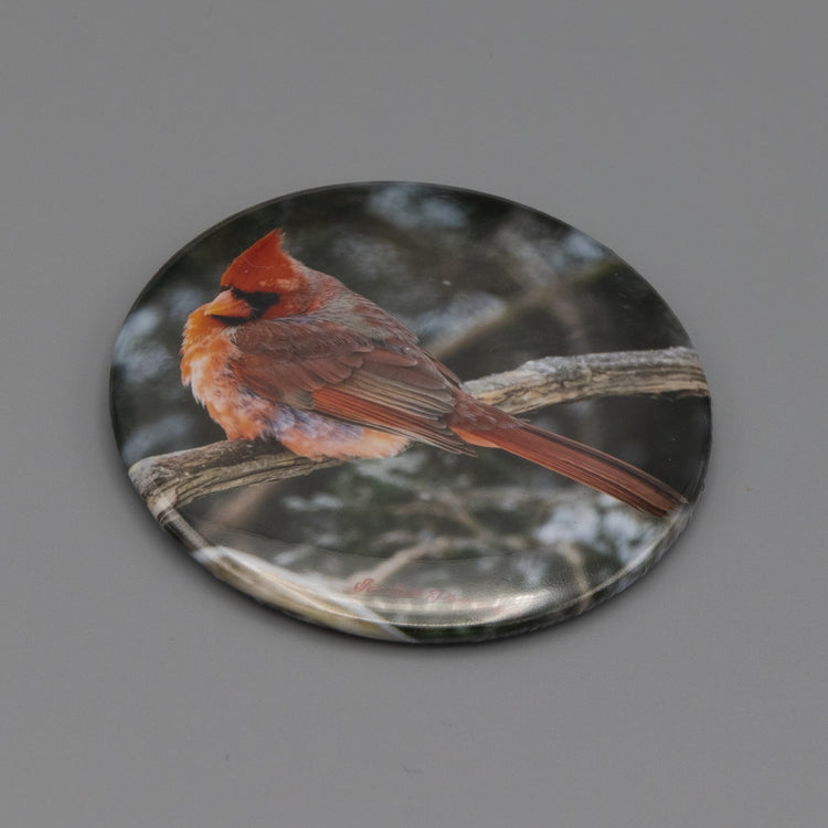 Magnet Cardinal In Snow