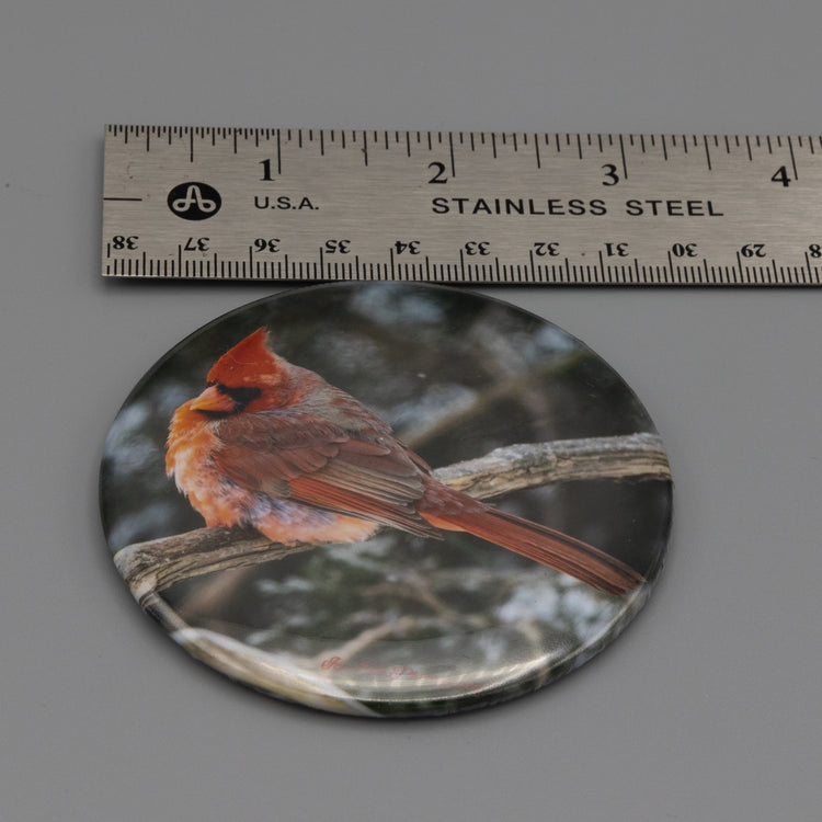 Magnet Cardinal In Snow