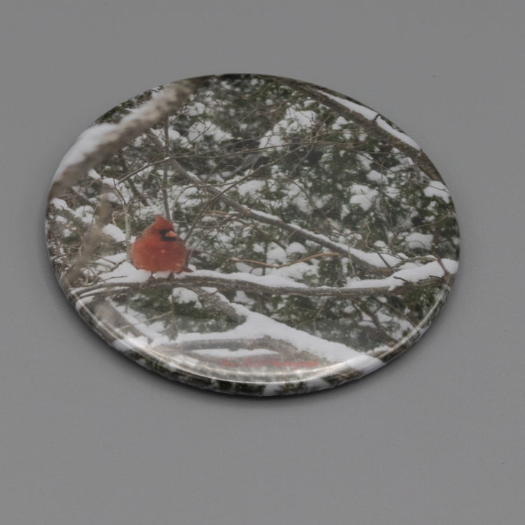 Magnet Cardinal in Snow