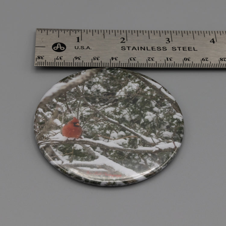 Magnet Cardinal in Snow