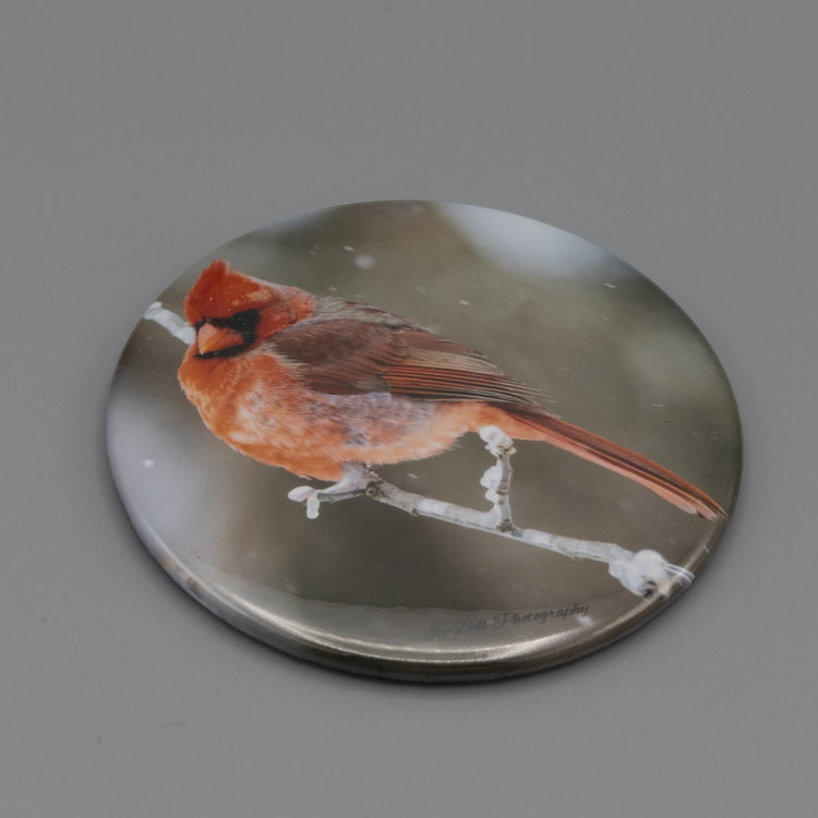 Magnet Cardinal in Snow