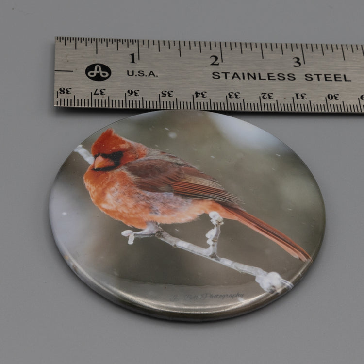 Magnet Cardinal in Snow