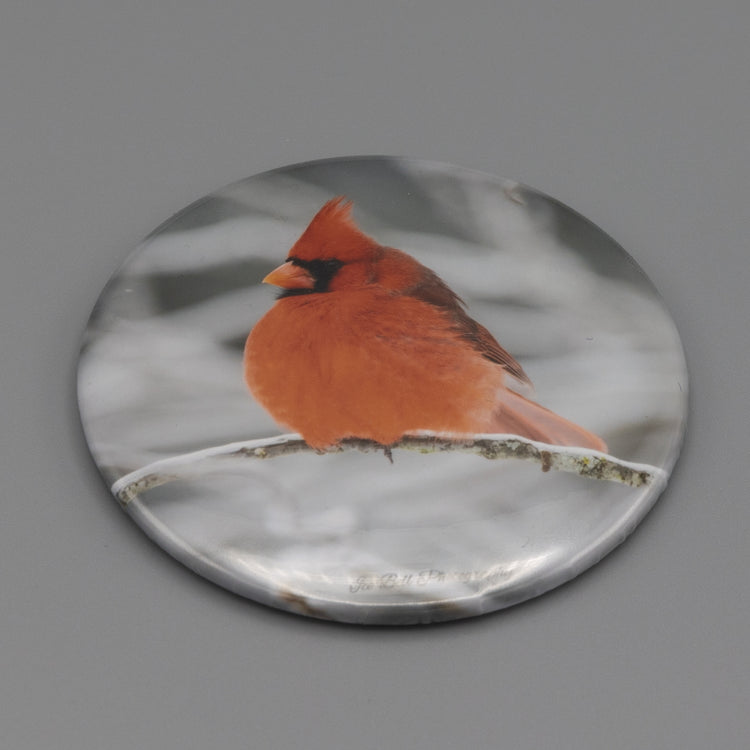 Magnet Cardinal in Snow