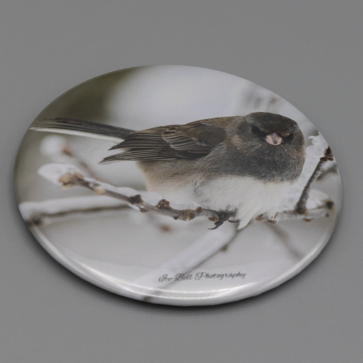 Magnet Dark Eyed Junco
