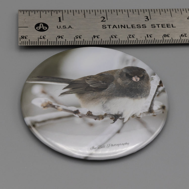 Magnet Dark Eyed Junco