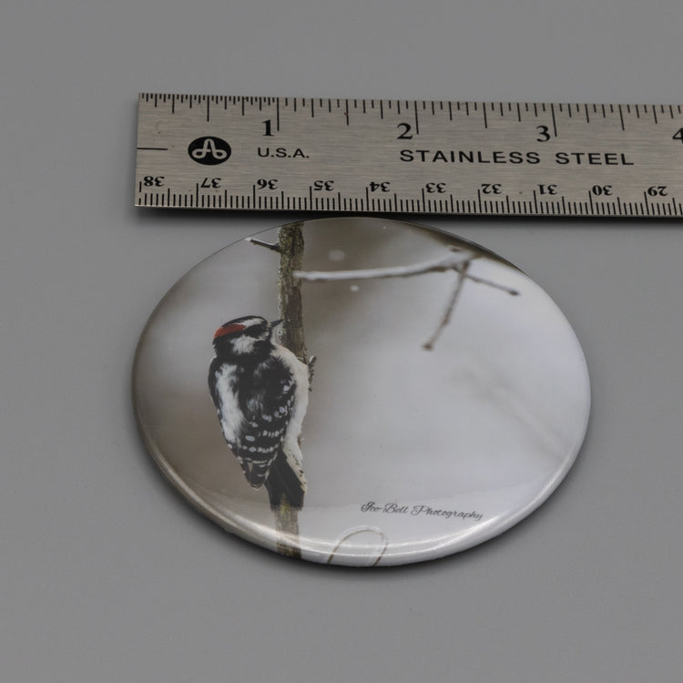 Magnet Downy Woodpecker