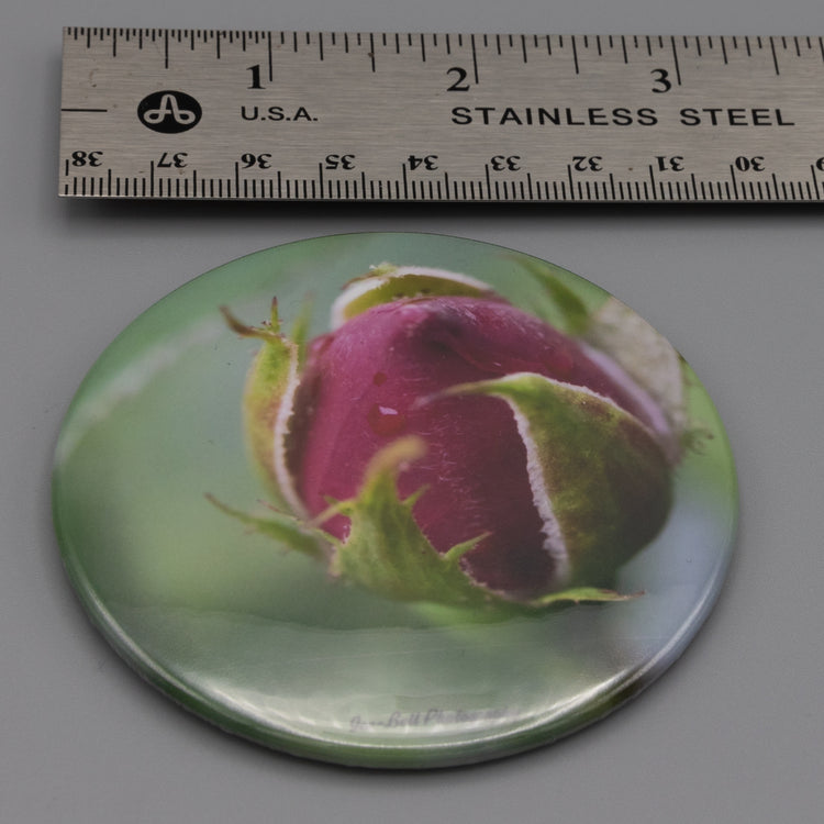 Magnet Red Rose Bud